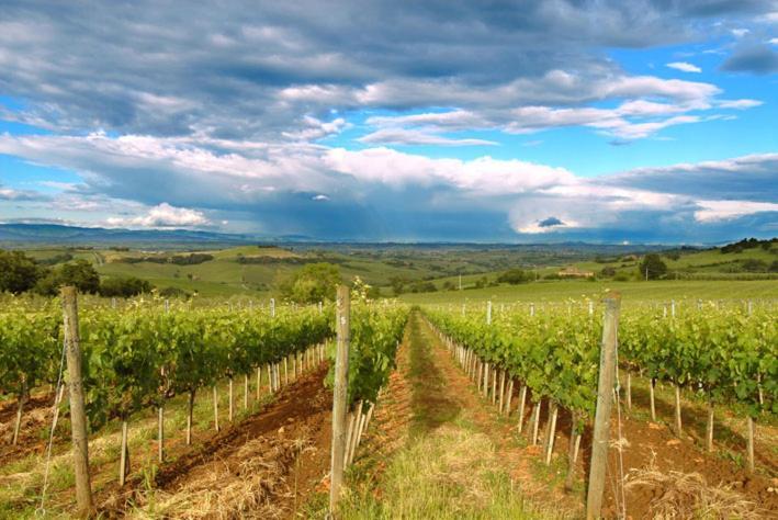 Bed and Breakfast Abbadia Wine Relais Montefollonico Экстерьер фото