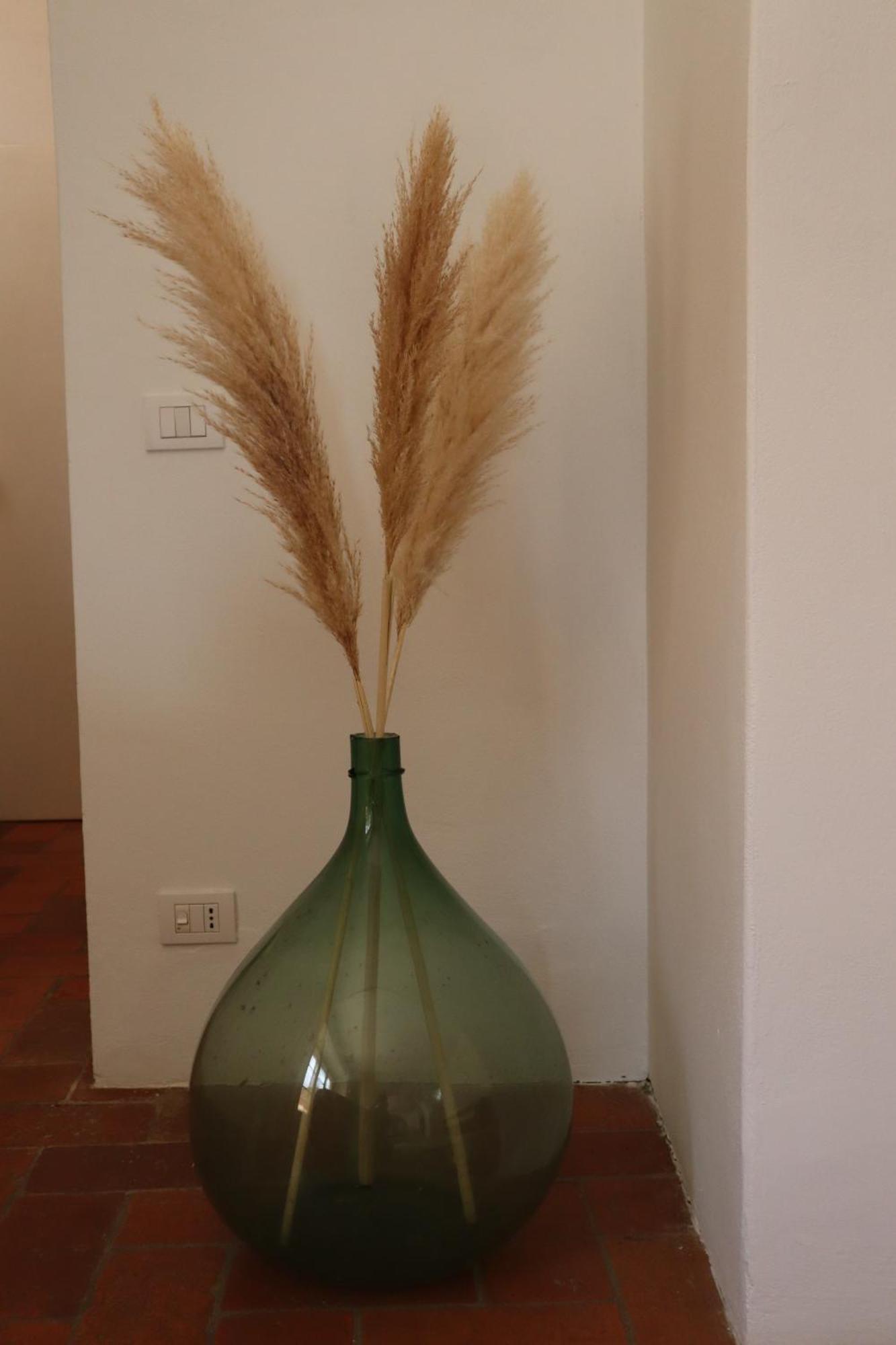 Bed and Breakfast Abbadia Wine Relais Montefollonico Экстерьер фото