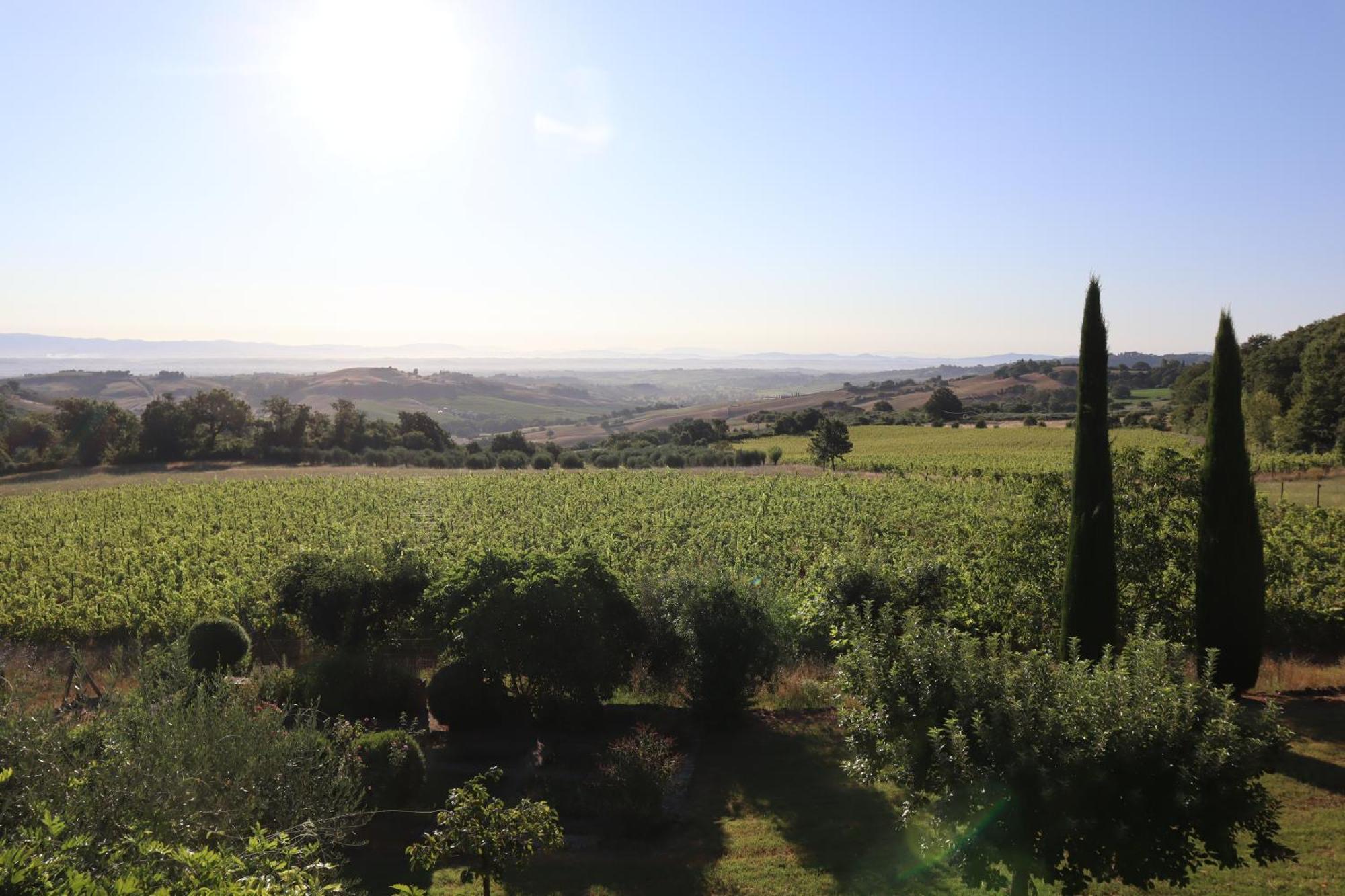 Bed and Breakfast Abbadia Wine Relais Montefollonico Экстерьер фото