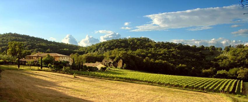 Bed and Breakfast Abbadia Wine Relais Montefollonico Экстерьер фото
