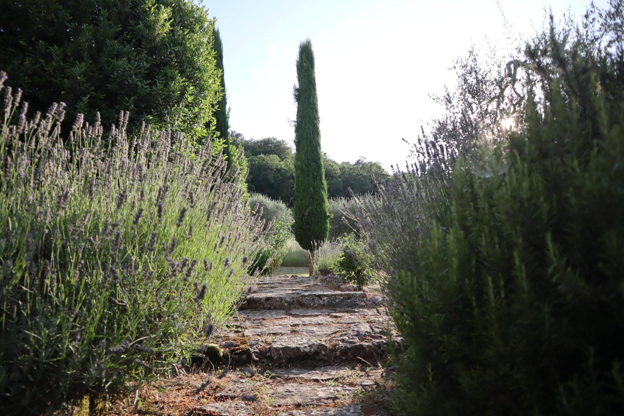 Bed and Breakfast Abbadia Wine Relais Montefollonico Экстерьер фото