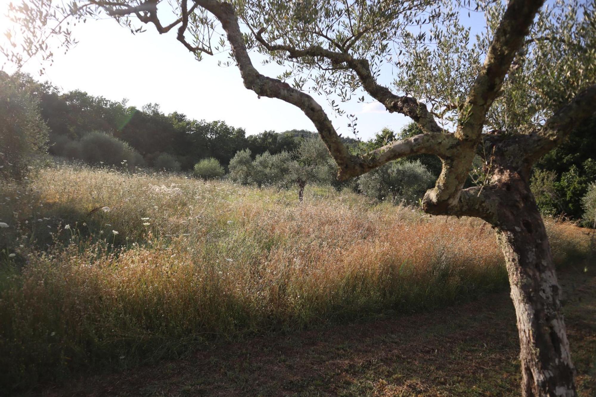 Bed and Breakfast Abbadia Wine Relais Montefollonico Экстерьер фото