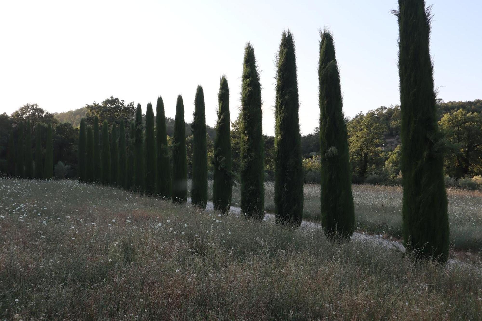 Bed and Breakfast Abbadia Wine Relais Montefollonico Экстерьер фото