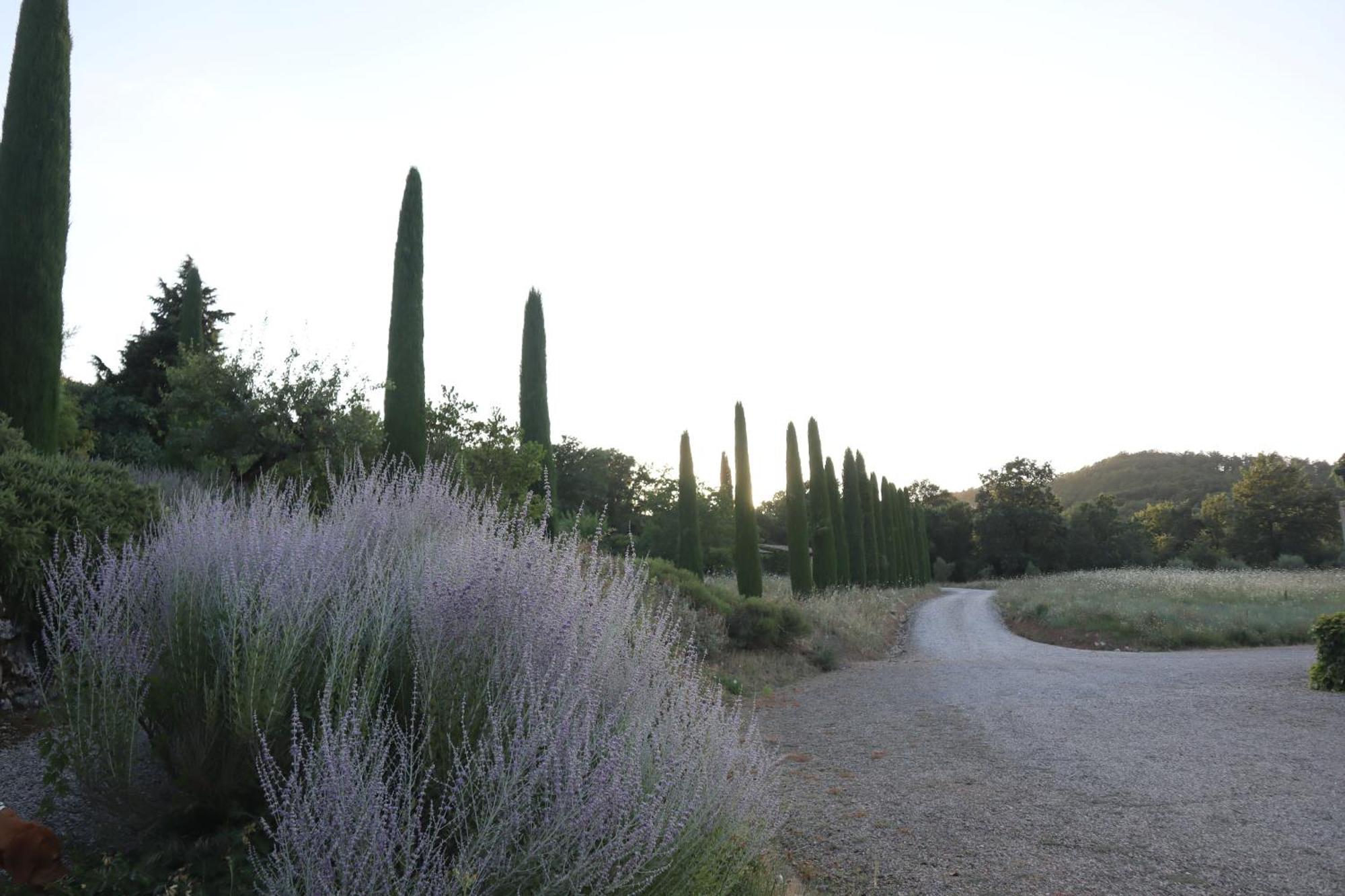 Bed and Breakfast Abbadia Wine Relais Montefollonico Экстерьер фото